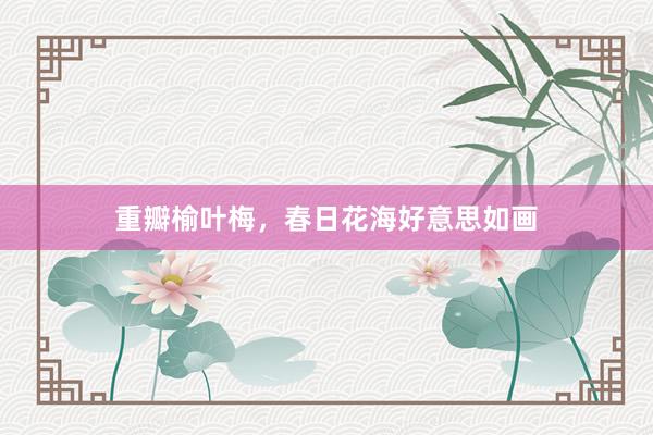重瓣榆叶梅，春日花海好意思如画