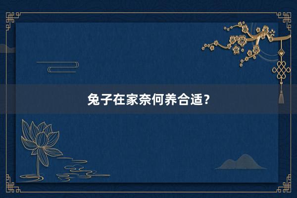 兔子在家奈何养合适？