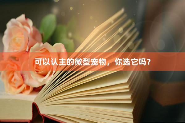 可以认主的微型宠物,你选它吗?